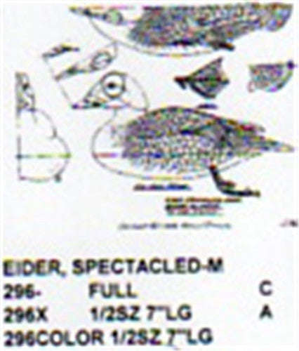 Spectacled Eider Resting On Water Carving Pattern