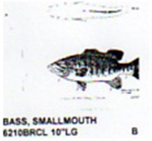 Small Mouth Bass Mouth Closed 10" Long Color