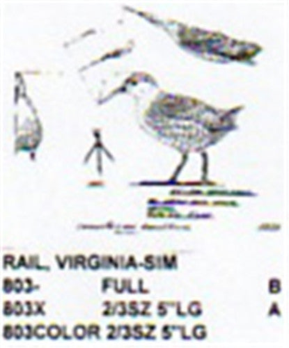 Virginia Rail Walking
