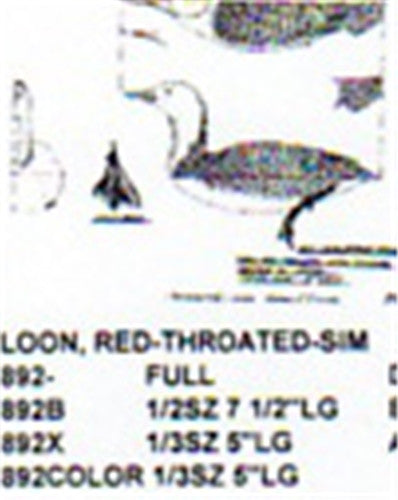 Red Throated Loon Resting On Water 1/2 Size