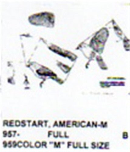American Redstart Male - Cherry Tree Toys