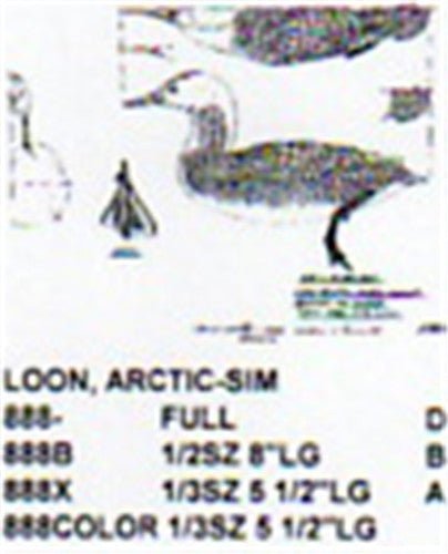 Arctic/Pacific Loon Resting On Water - Cherry Tree Toys