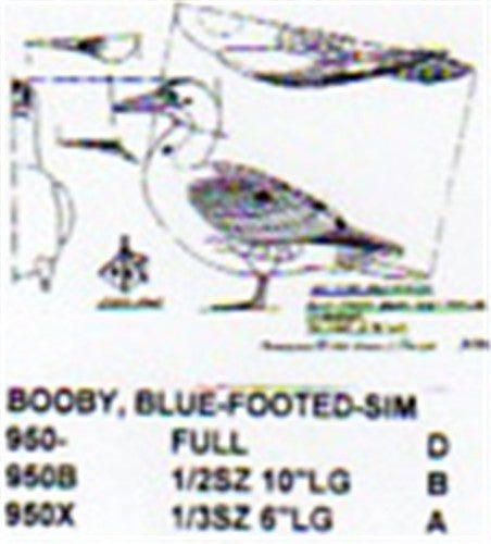 Blue Footed Booby Standing 1/3 Size - Cherry Tree Toys