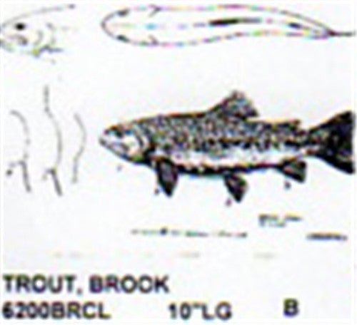 Brook Trout Mouth Open - Mouth Closed 10" Long Color - Cherry Tree Toys