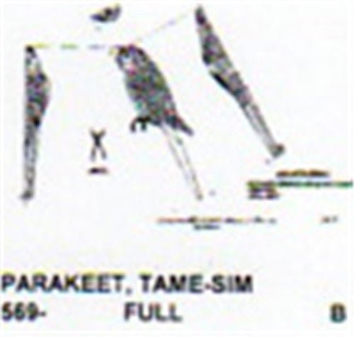 Budgeriagar Parakeet Perching - Cherry Tree Toys