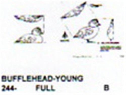 Bufflehead Downy Carving Pattern - Cherry Tree Toys