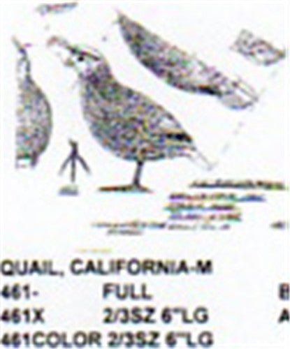 California Quail Male Standing Carving Pattern - Cherry Tree Toys