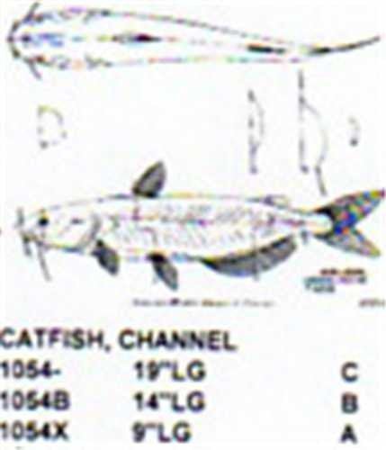 Channel Catfish Mouth Closed 9" Long - Cherry Tree Toys