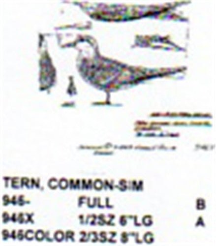 Common Tern Carving Pattern - Cherry Tree Toys