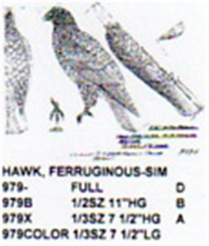 Ferruginous Hawk Perching Carving Pattern - Cherry Tree Toys