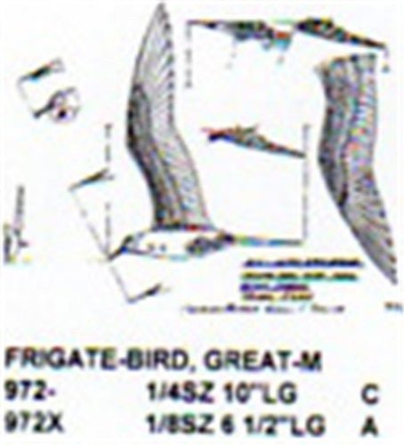 Great Frigate Male 1/8 Size Carving Pattern - Cherry Tree Toys