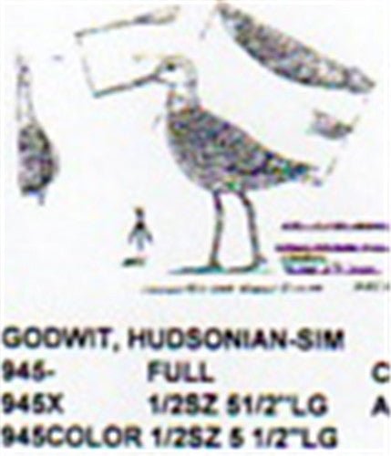 Hudsonian Godwit Carving Pattern - Cherry Tree Toys