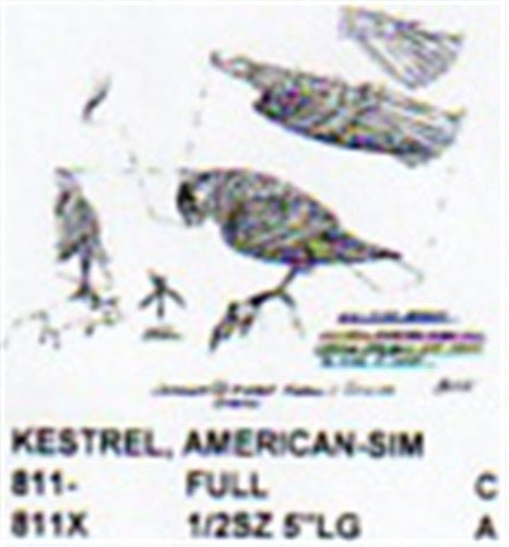 Kestrel Standing With Mouse Carving Pattern - Cherry Tree Toys