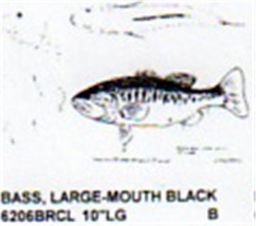 Large Mouth Black Bass Mouth Closed 10" Long Color - Cherry Tree Toys