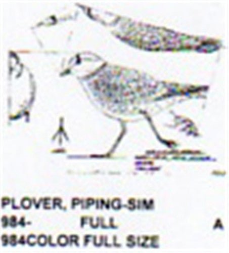Piping Plover Walking - Cherry Tree Toys