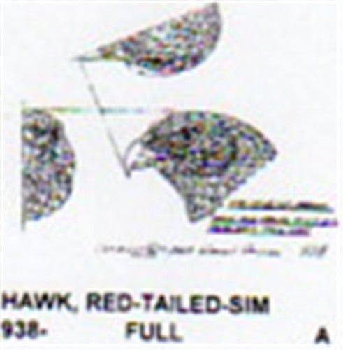 Red Tailed Hawk Head Carving Pattern - Cherry Tree Toys