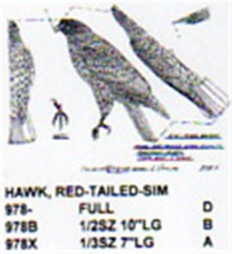 Red Tailed Hawk Perching/Alert Carving Pattern - Cherry Tree Toys