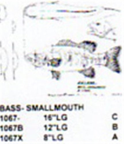 Smallmouth Bass 8" - Cherry Tree Toys