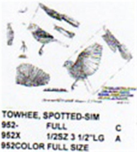 Spotted Towhee Perching/Flying/Landing 1/2 Size - Cherry Tree Toys