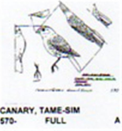 Tame Canary - Cherry Tree Toys