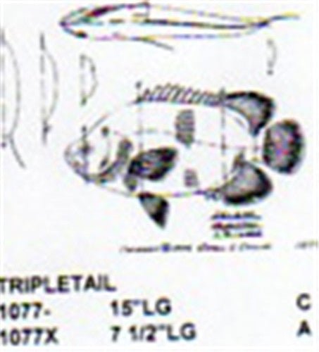 Tripletail Mouth Closed 15" Long - Cherry Tree Toys