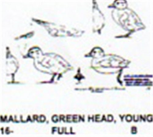 Young Downy Mallard - Cherry Tree Toys