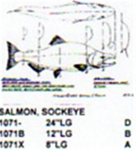 Sockeye Salmon Mouth Slightly Open 12" Long