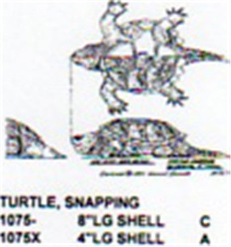 Snapping Turtle On Ground 8