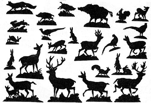 Wild Animals Pattern