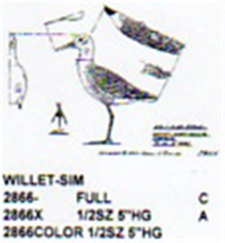 Willet  Standing Color 1/2 Size