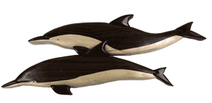 Dolphins Intarsia Plan