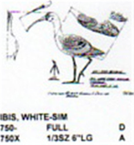 White Ibis Standing 1/3 Size