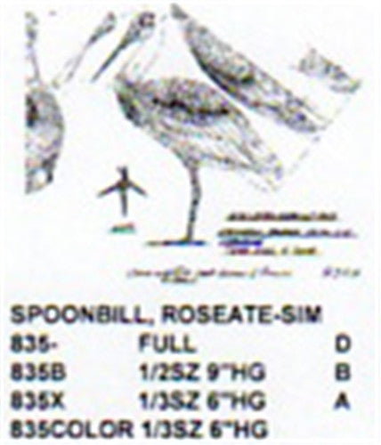 Roseate Spoonbill Standing 1/3 Size Hummul Carving Company – Cherry ...