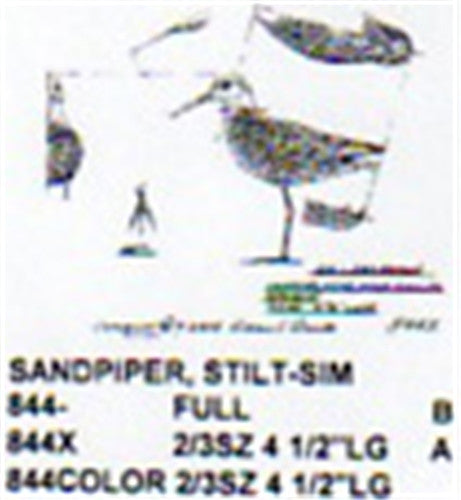 Stilt Sandpiper Standing