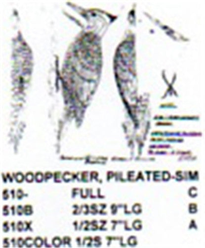 Pileated Woodpecker On Tree Carving Pattern