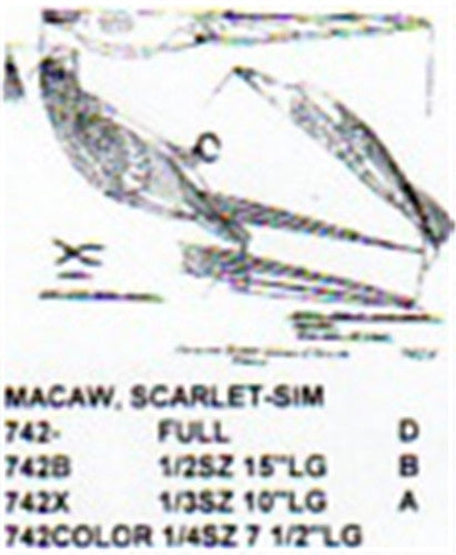 Scarlet Macaw Perching 1/2 Size