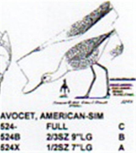 American Avocet Feeding Carving Pattern - Cherry Tree Toys