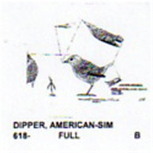 American Dipper Standing - Cherry Tree Toys