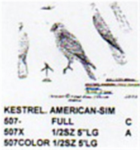 American Kestrel Perching Carving Pattern - Cherry Tree Toys