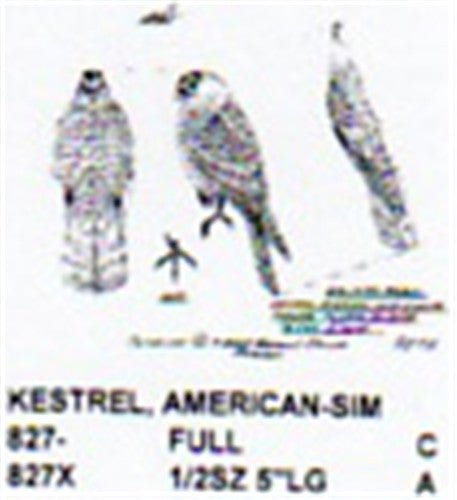 American Kestrel Perching/Relaxed Carving Pattern - Cherry Tree Toys