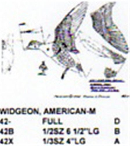 American Widgeon Male Flying/Landing Carving Pattern - Cherry Tree Toys