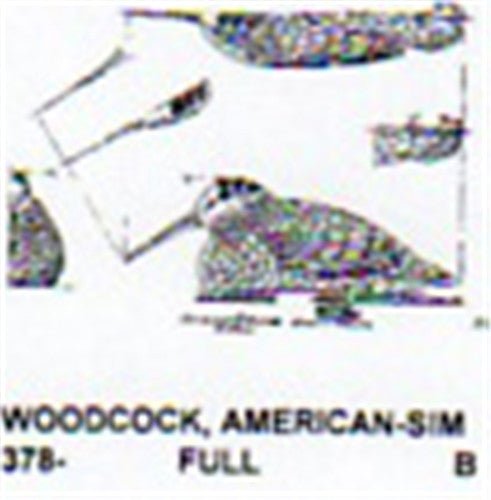 American Woodcock Setting Carving Pattern - Cherry Tree Toys