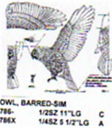 Barred Owl Flying/Landing Carving Pattern - Cherry Tree Toys