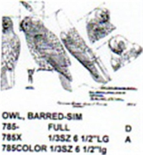 Barred Owl Perching Carving Pattern - Cherry Tree Toys