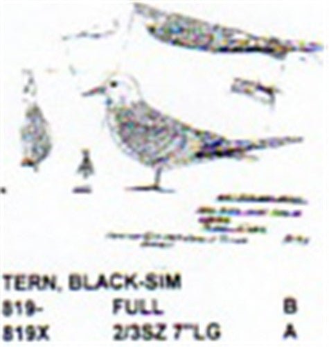 Black Tern Standing - Cherry Tree Toys