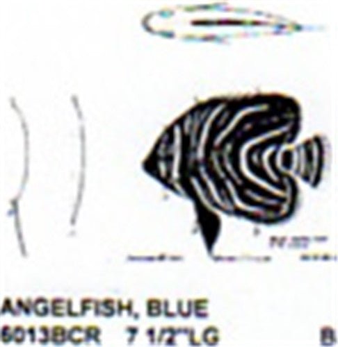 Blue Angel Fish Mouth Closed 7 1/2" Long Color - Cherry Tree Toys