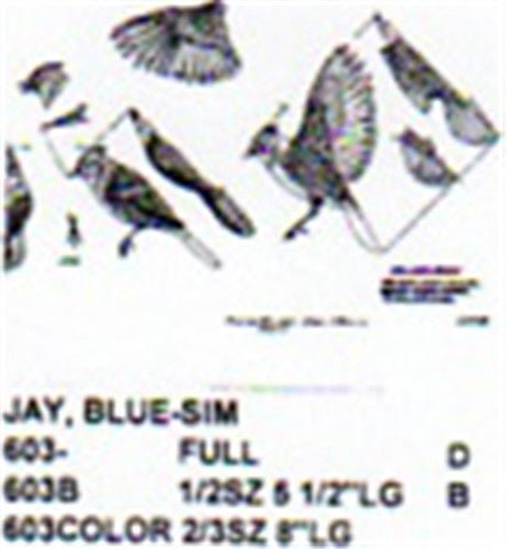 Blue Jay Perching/Landing Carving Pattern - Cherry Tree Toys