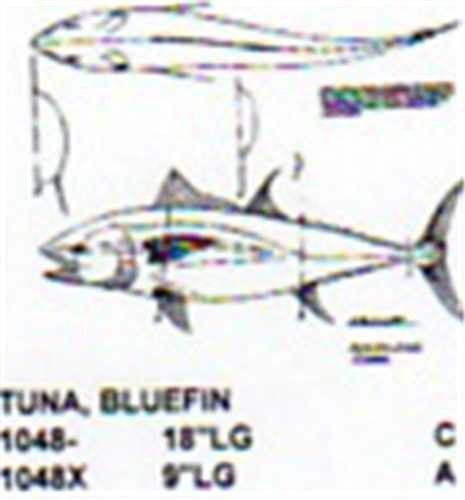 Bluefin Tuna Mouth Slightly Open 18" Long - Cherry Tree Toys