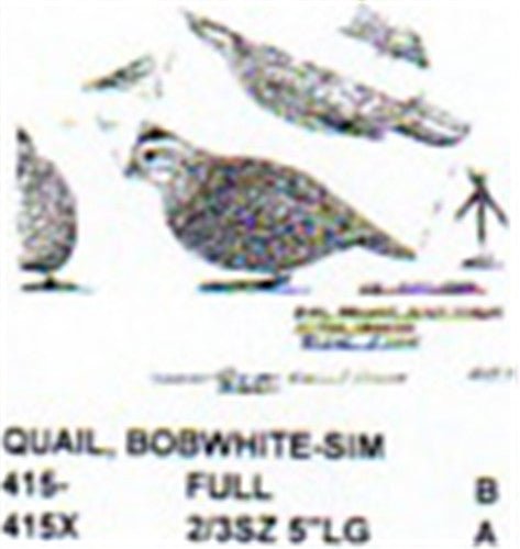 Bobwhite Quail Crouched Carving Pattern - Cherry Tree Toys