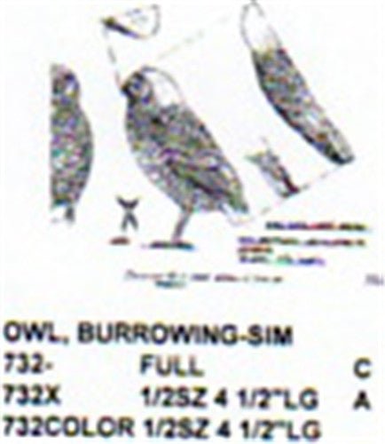 Burrowing Owl Standing Carving Pattern - Cherry Tree Toys